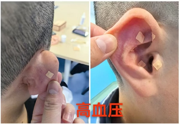微信图片_20250515090214.png
